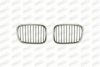 PRASCO BM0452013 Radiator Grille